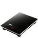 Индукционная настольная плитка iPlate T24 PRO 16589 фото 1